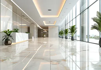 Tile and Grout Cleaning