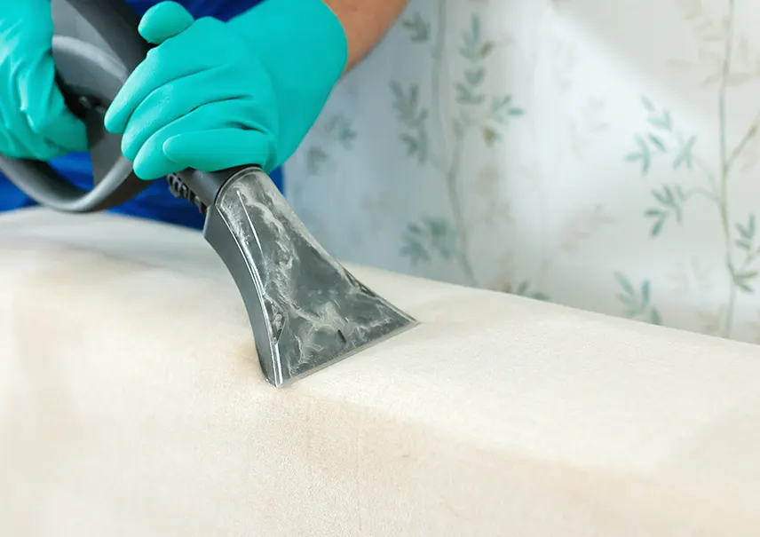 Upholstery Cleaning